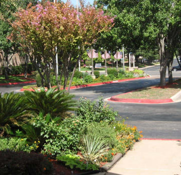Trials of Walnut Creek garden and pathways