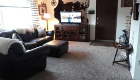 3 bedroom unit living room