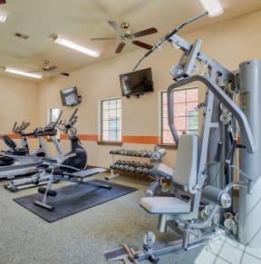 Gym with lifting and cardio equipment with fans
