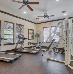 the gym at our apartments has a variety of exercise equipment