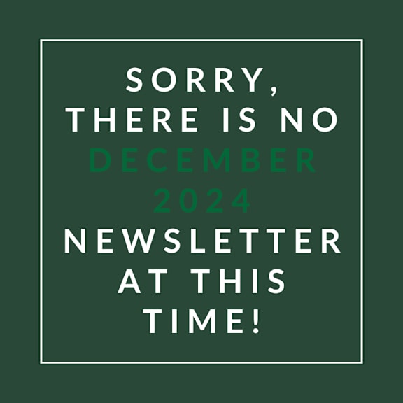 The image displays a message apologizing for the absence of a December 2024 newsletter.