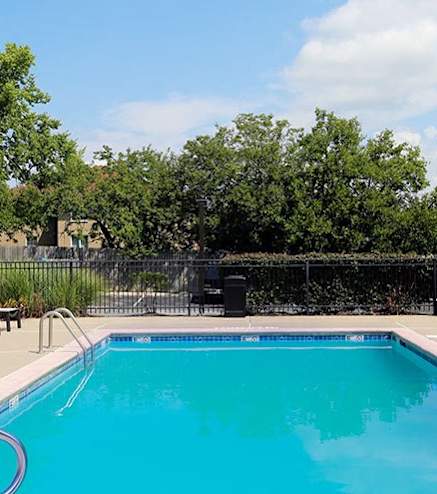 A large outdoor swimming pool surrounded by sun loungers and trees.
