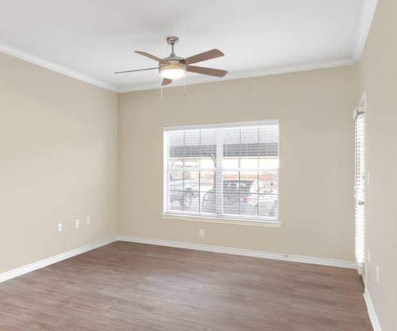A large, empty hardwood bedroom with overhead lighting and large, bright windows at the Landing at Mansfield Apartments. 