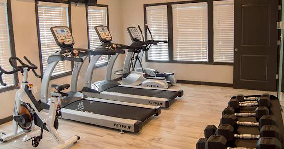 A gym with treadmills, elliptical machines, and dumbbells.
