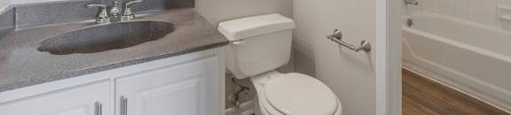 a bathroom with a sink and a toilet and a bath tub
