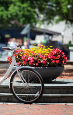 a bike parked next to a pot of flowers
