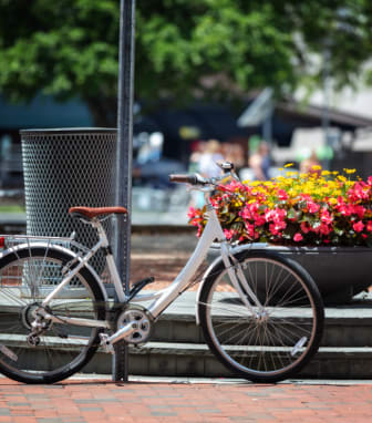 a bike parked next to a pot of flowers