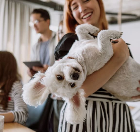 A woman is holding a small white dog in her arms.