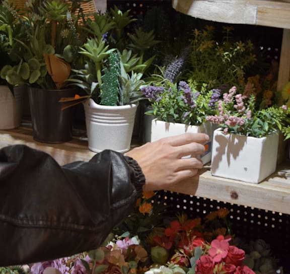 A person is holding a plant in a pot.