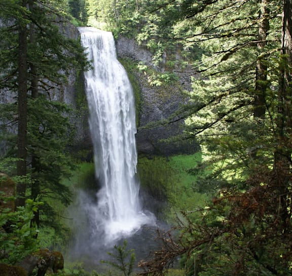 A waterfall cascades down a rocky cliff in a lush green forest.