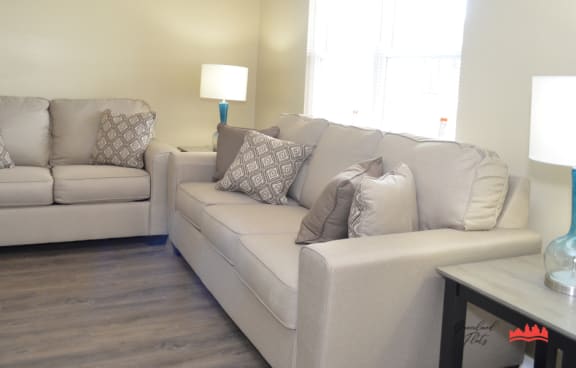 a living room with two couches and a coffee table