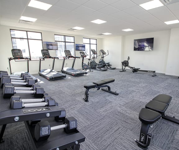 A gym with treadmills, dumbbells, and benches.
