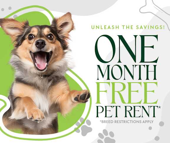 A cheerful dog is featured in an advertisement for one month free pet rent.