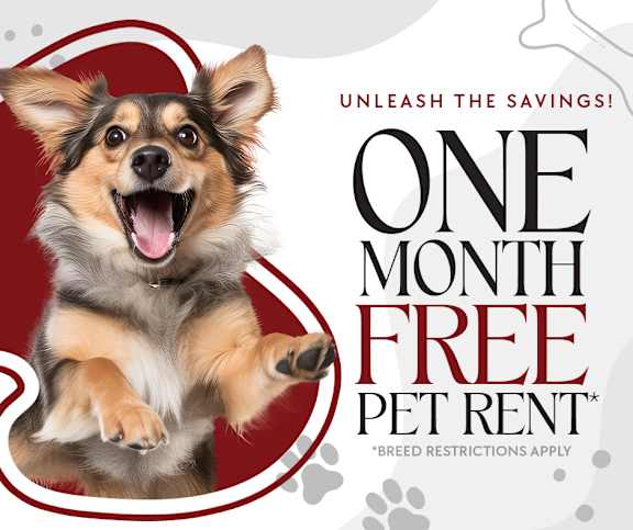 A cheerful dog is featured in an advertisement for one month free pet rent.