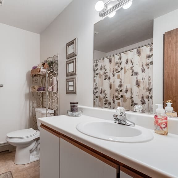 a bathroom with a sink and a toilet and a shower