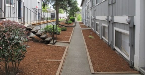 A long row of houses with a tree in the middle.