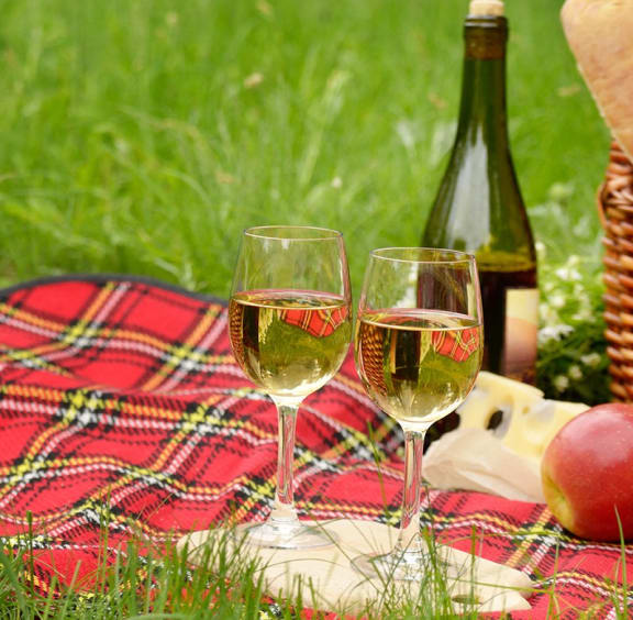 two glasses of wine on a picnic blanket