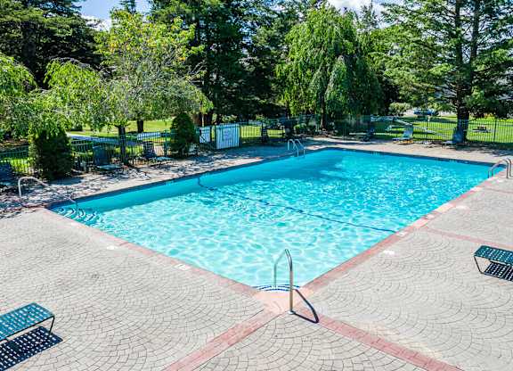 A rectangular pool surrounded by a brick patio and trees.