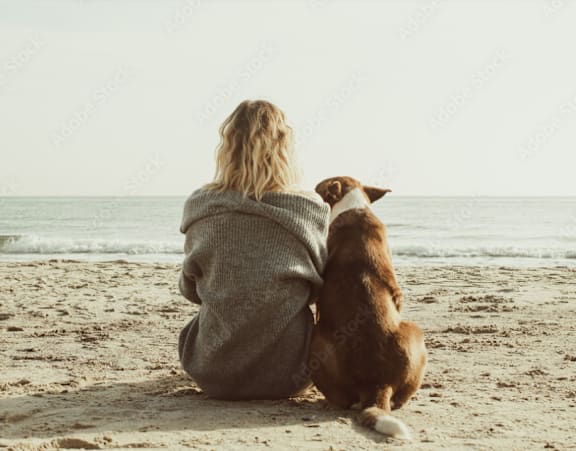 A woman and a dog are sitting on the beach looking out at the ocean.