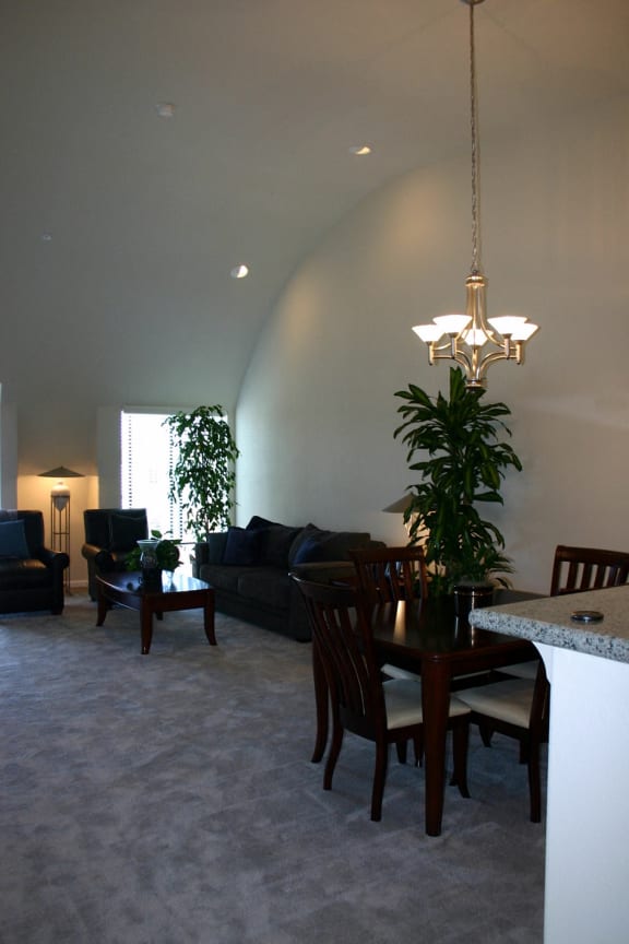 Beautiful Vaulted Ceilings