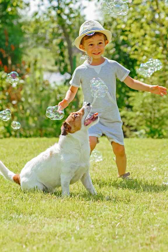 A child and a dog are playing with bubbles in a grassy area.