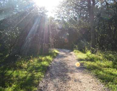 A gravel path in the woods with sunlight streaming through the trees.