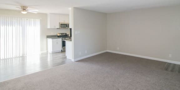 APARTMENT AMENITIES