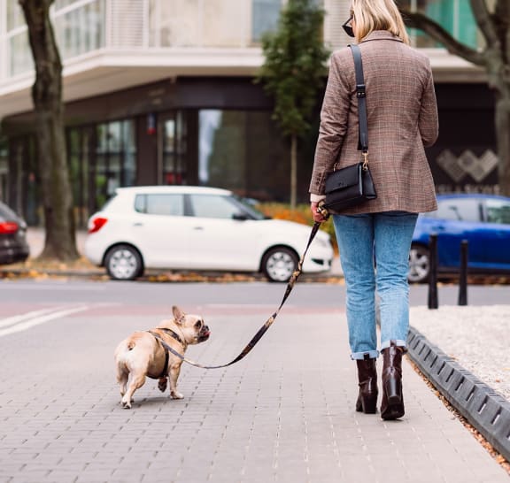 a woman walking her dog on a leash