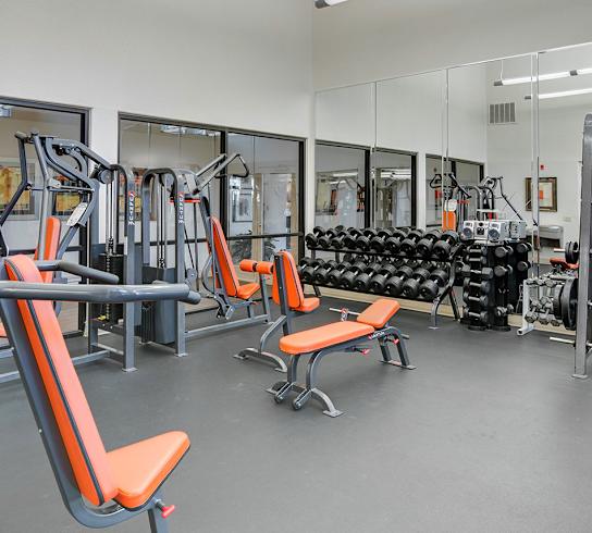 A gym with orange chairs and black dumbbells.
