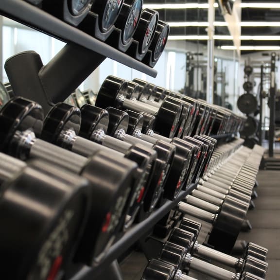 Free Weights  at Bella Lago Vista, West Palm Beach