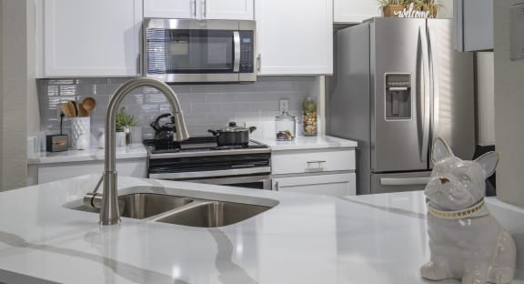 a kitchen with a sink and a cat on the counter