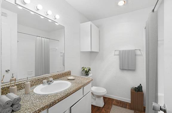 A bathroom with a sink, toilet, and a mirror.