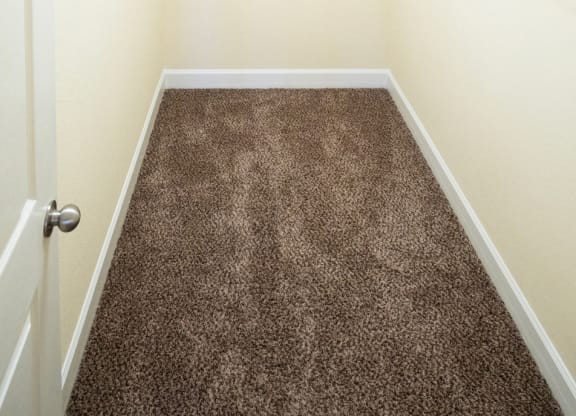 Walk-In Closet at Cypress Pointe Apartments in Orange Park, FL