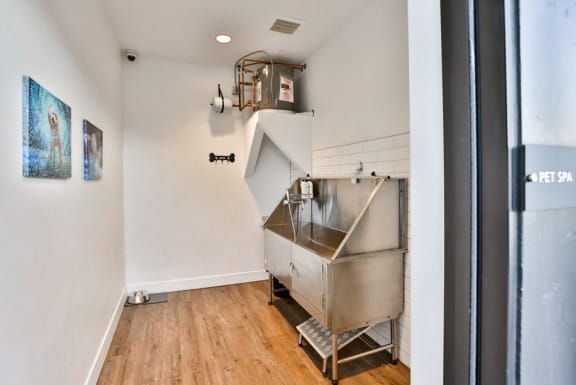Pet Spa Available at The Vineyards in Colorado Springs, CO