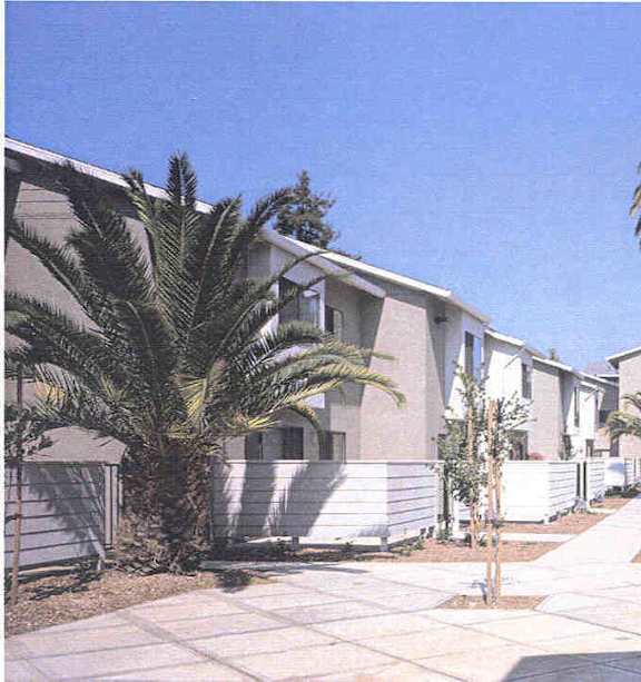 A row of houses with a palm tree in front of them.
