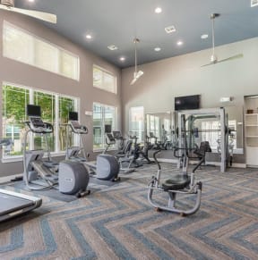 Two Level Fitness Center at Delray Apartments, Texas