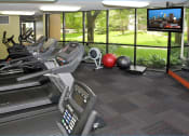 Thumbnail 12 of 25 - Fitness room with treadmills facing a TV and a large window