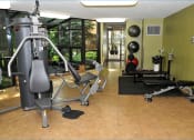 Thumbnail 13 of 25 - Fitness room with weights, yoga balls, pull machine, and large windows