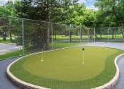 Thumbnail 22 of 25 - Small putting green