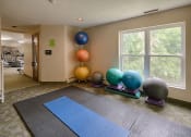 Thumbnail 8 of 23 - fitness room with exercise balls and yoga mat