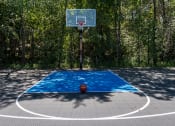 Thumbnail 20 of 23 - outdoor full size basketball hoop with ball