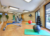 Thumbnail 13 of 26 - fitness room with exercise balls, yoga mat, and exercise equipment