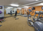 Thumbnail 10 of 19 - Fitness room with various equipment and a large mirror wall