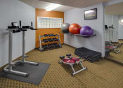 Thumbnail 12 of 19 - Fitness center with weights and yoga balls