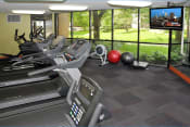Thumbnail 10 of 23 - Fitness room with treadmills facing a TV and a large window