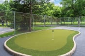 Thumbnail 20 of 23 - Small putting green