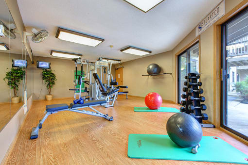 fitness room with exercise balls, yoga mat, and exercise equipment