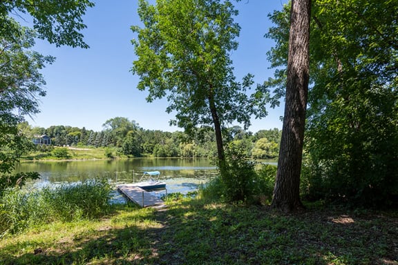 trees and the lake with a small wooden dock