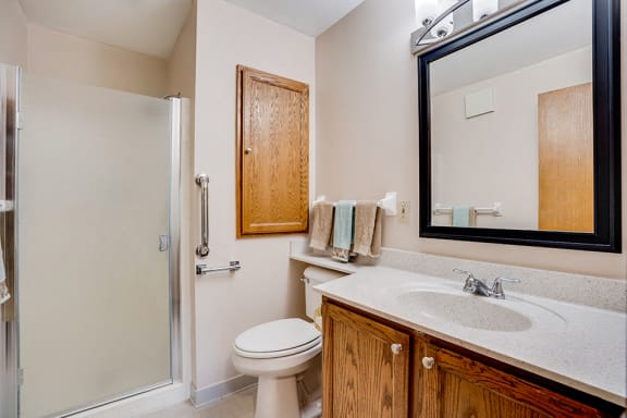 Bathroom with wooden cabinets and glass door on the shower