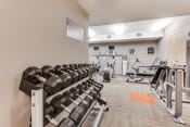 Thumbnail 27 of 40 - Fitness room with weight rack